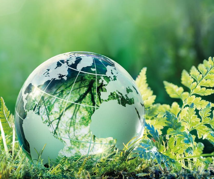 Bio-Lebensmittel: Gemeinsam für eine Gesunde Ernährung